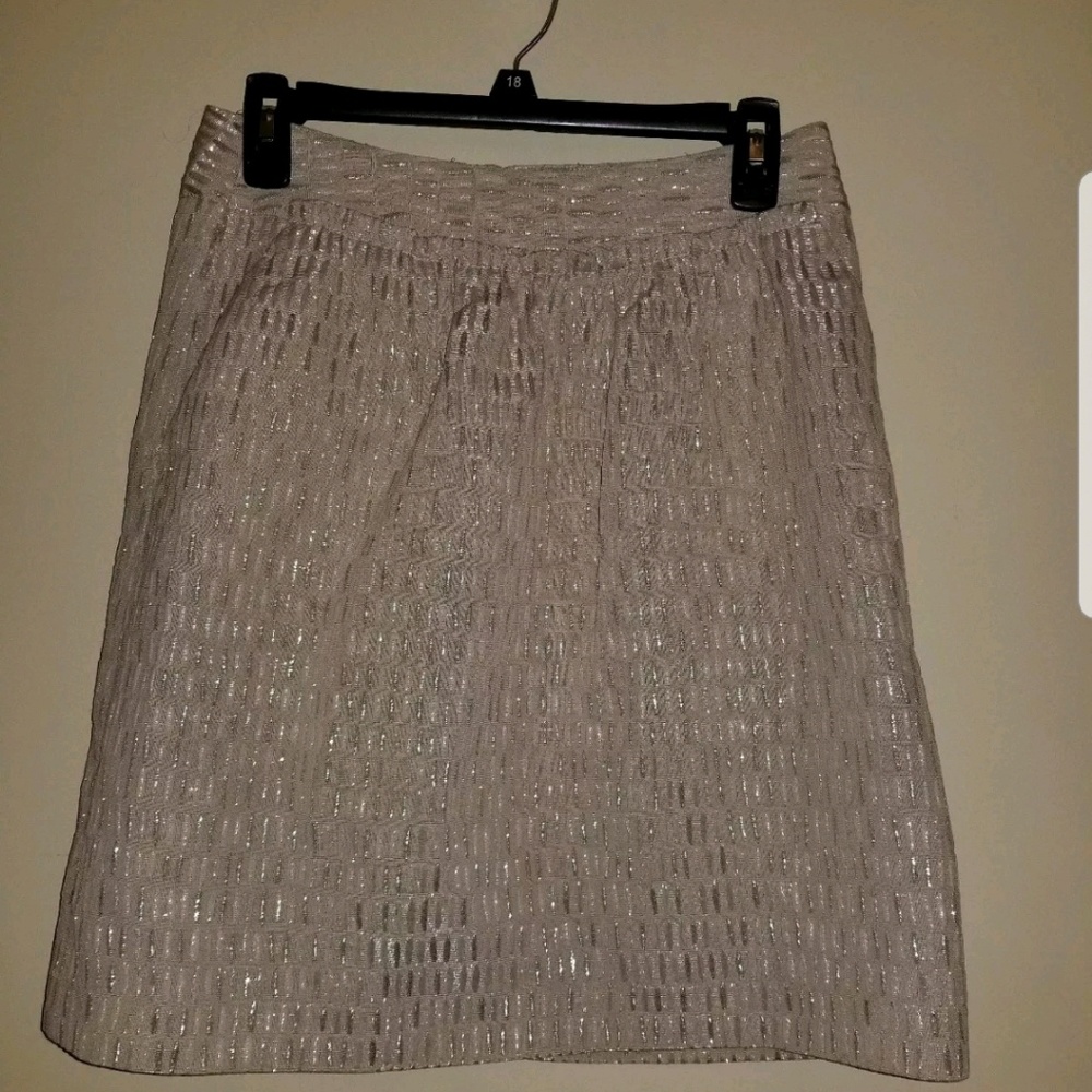💃🏾Skirt SALE Talbots 2P Metallic Skirt